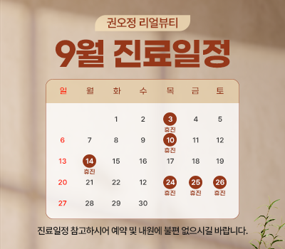 진료일정